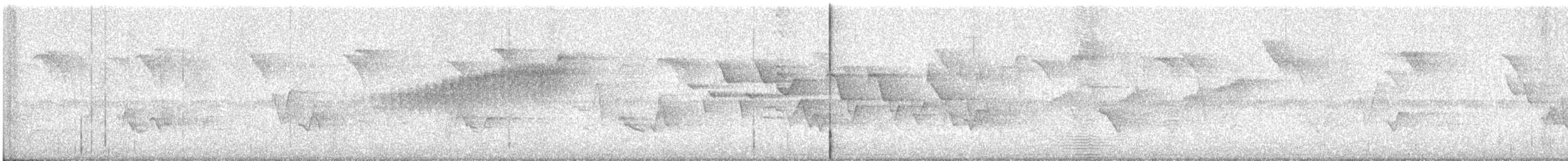 Paruline à collier - ML615741875