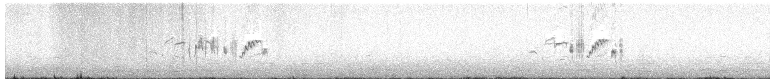 דוחל שחור-גרון - ML615744284