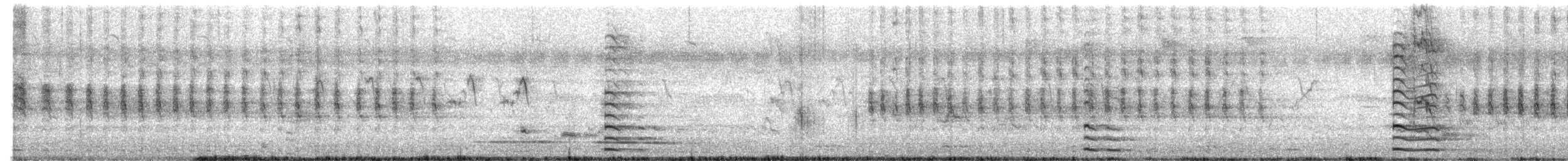 птица sp. - ML615745002