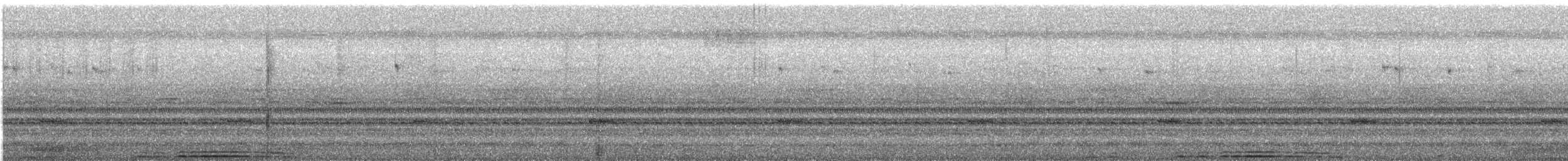 褐林鴞(indranee群) - ML615746459