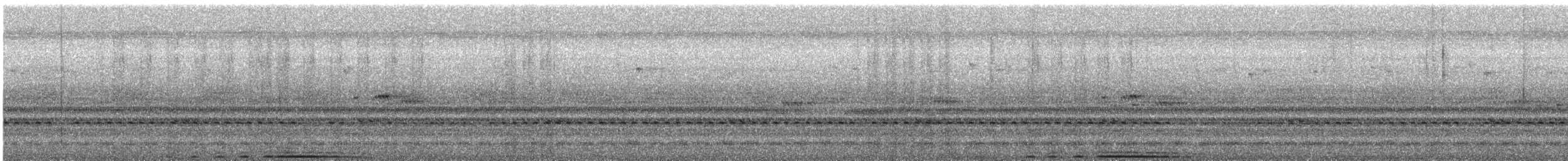 褐林鴞(indranee群) - ML615746460