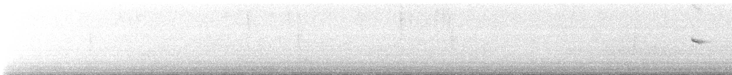 Fan-tailed Warbler - ML615749859