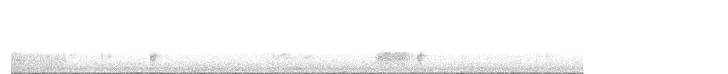 Paruline à gorge grise - ML61575101