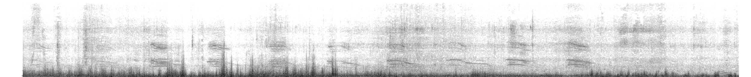 tučňák magellanský - ML615751176