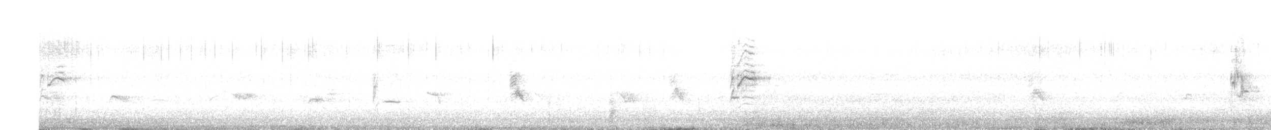 Kara Gıdılı İskete - ML615751431