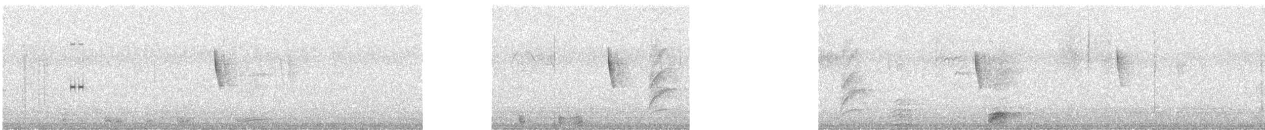 Квак звичайний (підвид obscurus) - ML615752121