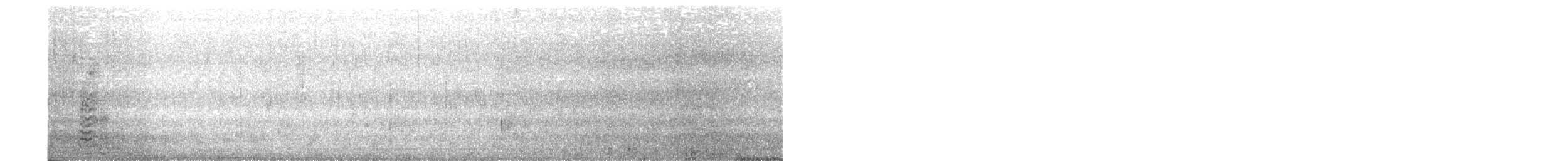 שחף דרומי - ML615752836
