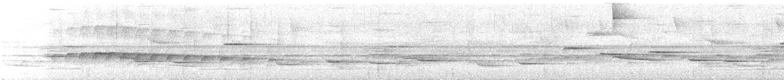 Серогрудый тенелюб - ML615753940