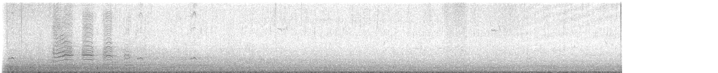 Sarcelle d'hiver (carolinensis) - ML615757866