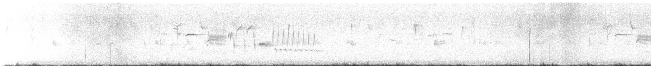 Bewick Çıtkuşu - ML615759595