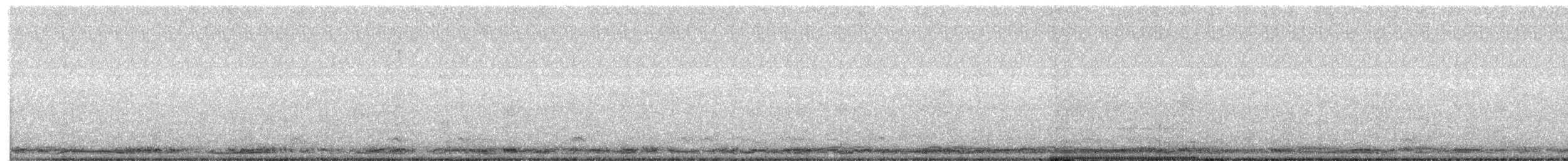 Küçük Kuğu (columbianus) - ML615761410