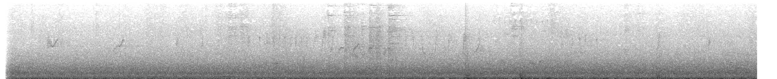 Атласная нектарница - ML615761605