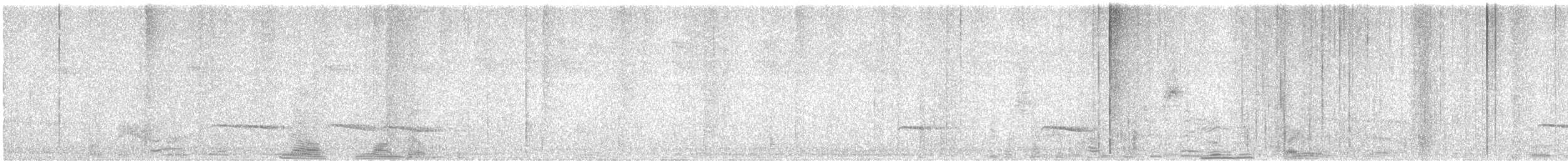 Kestane Sırtlı Karıncakuşu - ML615765131
