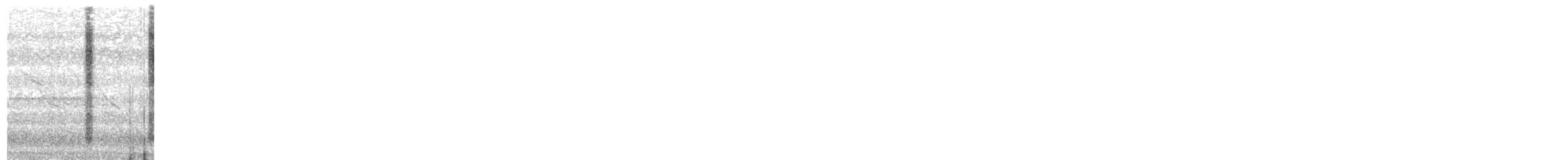 Subtropical Doradito - ML615767927