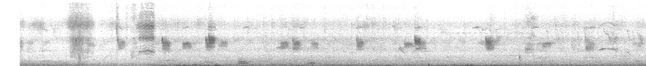 コシジロミドリツバメ - ML615769852