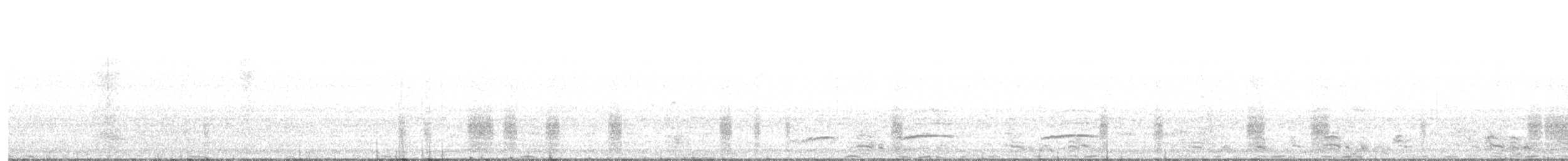 Sharp-tailed Grouse - ML615770246