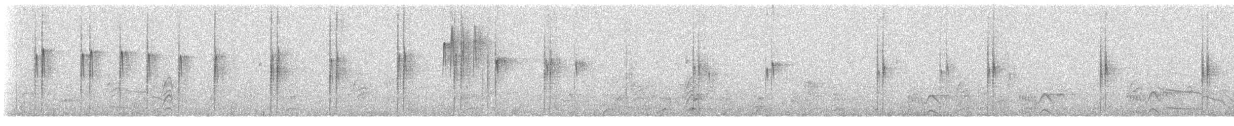 Dark-bellied Cinclodes - ML615770770