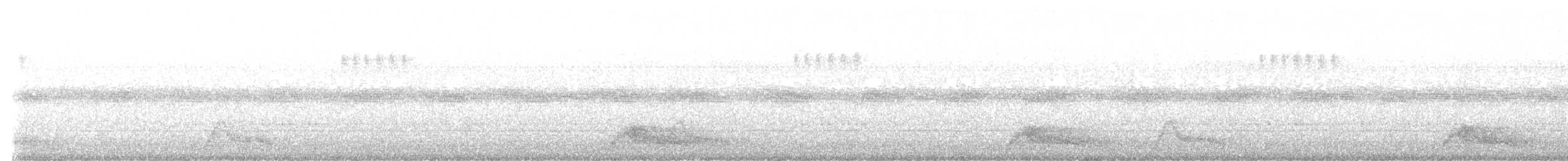 pauraquenattravn - ML615775546