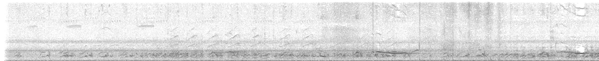 Gray-crowned Babbler - ML615775763