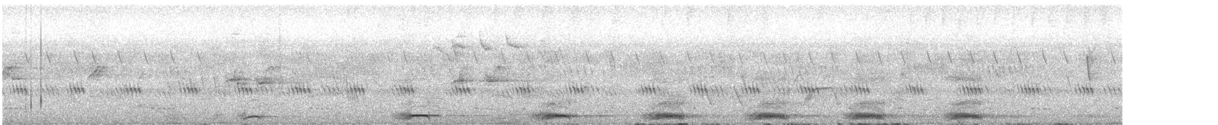 Schalow's Turaco - ML615777282