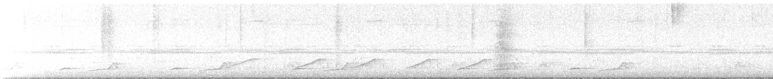 Schwarzkehl-Nachtschwalbe - ML615777511