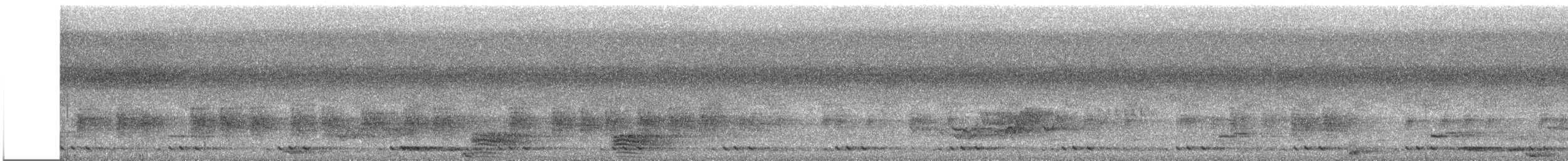 Кораловоклювая воронья кукушка - ML615782256