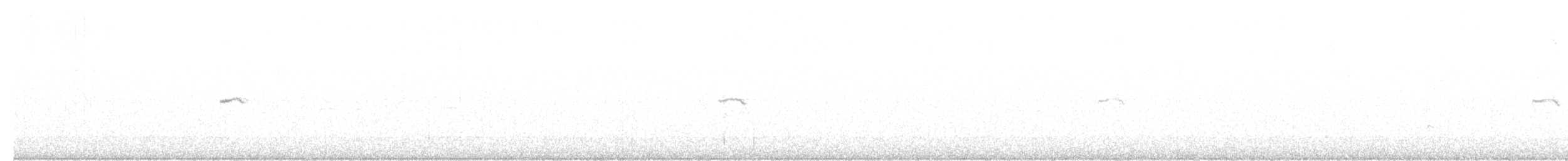 Common Chiffchaff (Siberian) - ML615787743