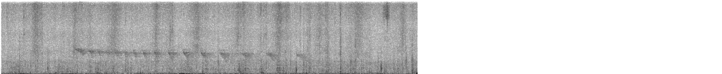 Grauband-Ameisenvogel - ML615791213