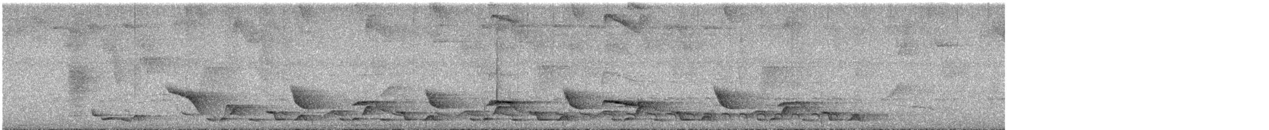 Чернобрюхий крапивник - ML615792511