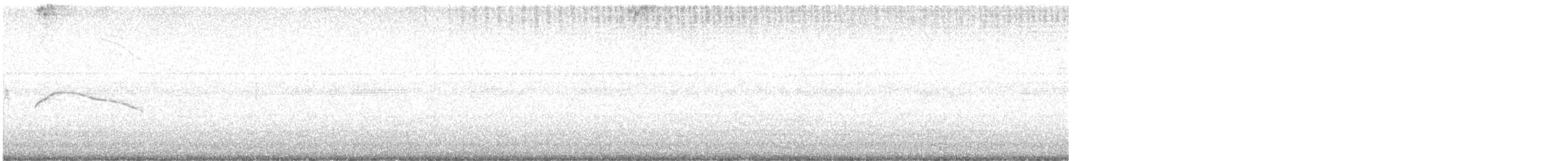 White-tailed Nightjar - ML615794443