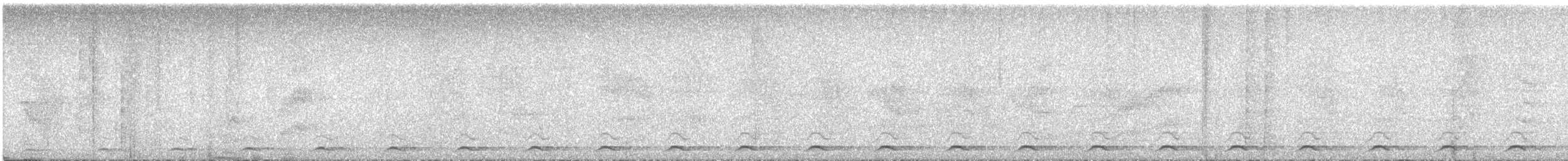 Black-tailed Trogon (Large-tailed) - ML615800046