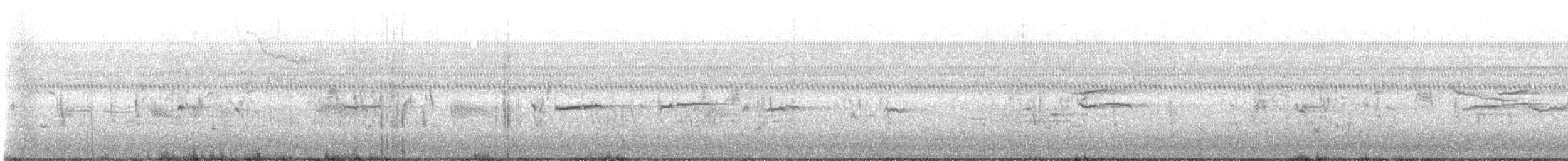 Roststärling - ML615800667