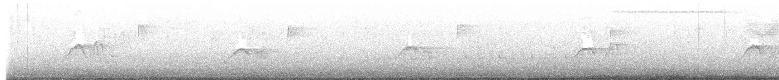 Moucherolle phébi - ML615800920
