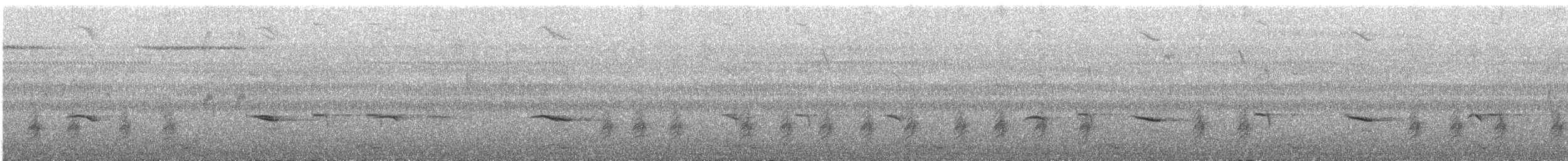 blåstrupesteintrost - ML615804179