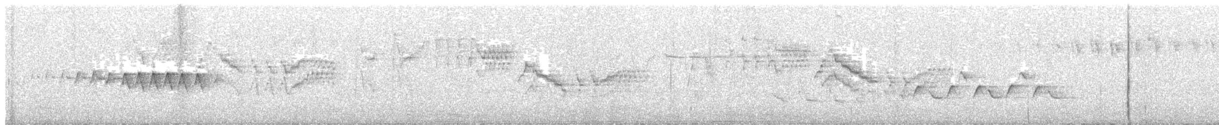 キヅタアメリカムシクイ（coronata） - ML615806788