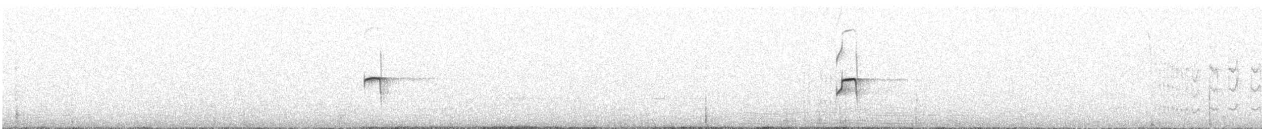 Straight-billed Earthcreeper - ML615814334