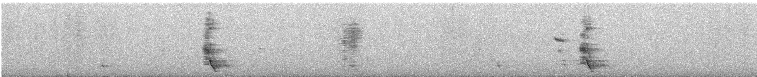 Méliphage carillonneur - ML615814348