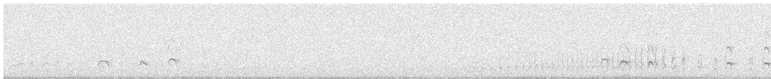 Длинноклювый кулик-сорока - ML615814393