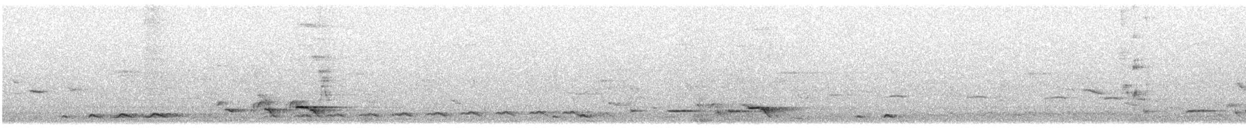Black-naped Oriole (East Asian) - ML615814824