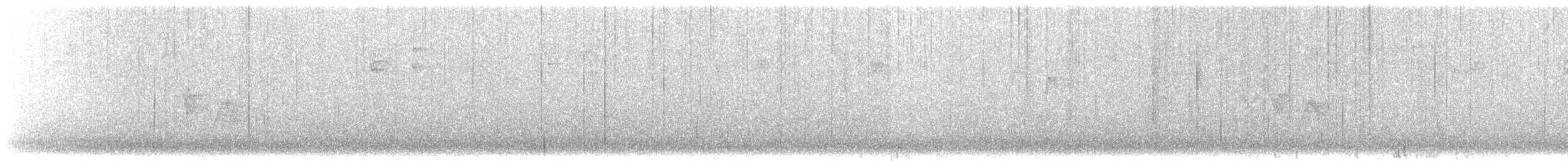 Віреон коста-риканський - ML615815513