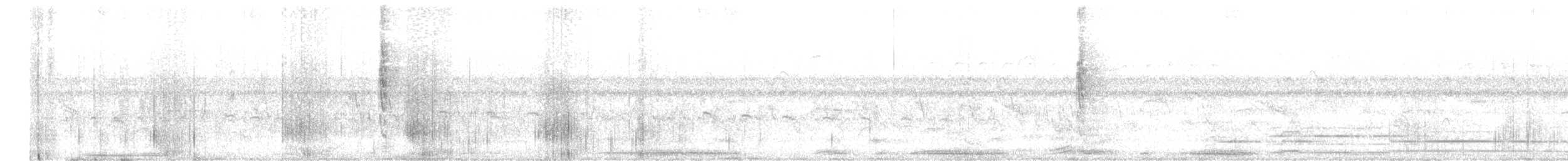 Банкивский петух (Одомашенного вида) - ML615819834