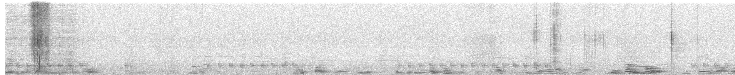 Graunachtschwalbe - ML615820381