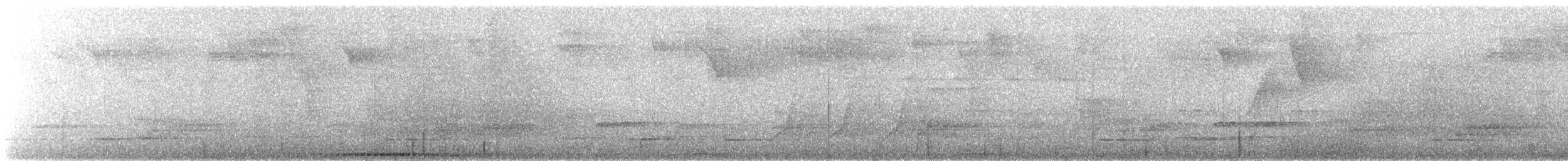 holub šedobřichý - ML615821016
