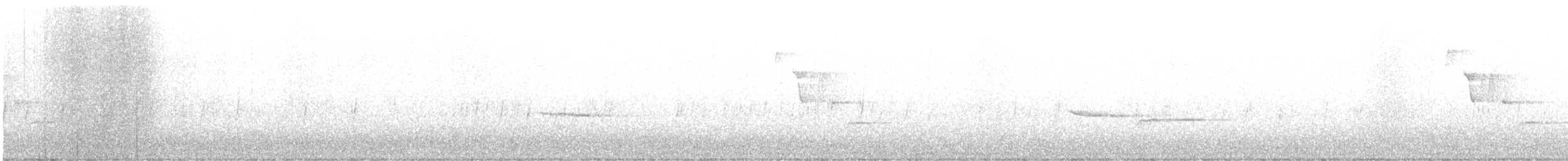 Шишкар ялиновий - ML615822510