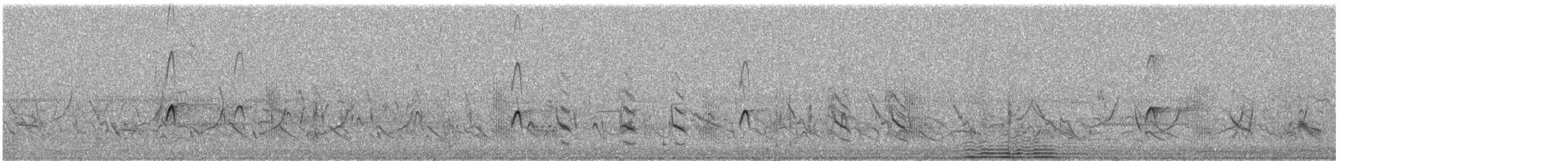 Tundraschlammläufer - ML615823959