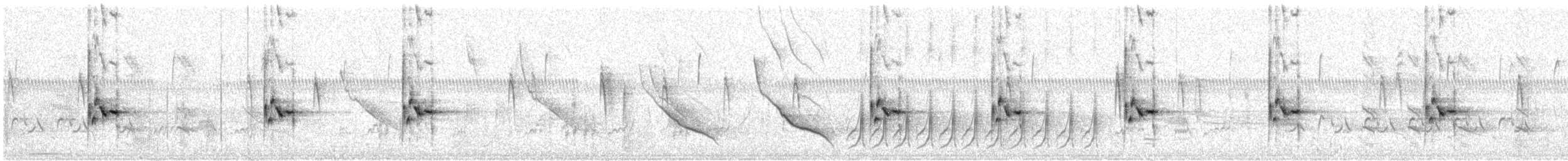 Carolinazaunkönig - ML615824118