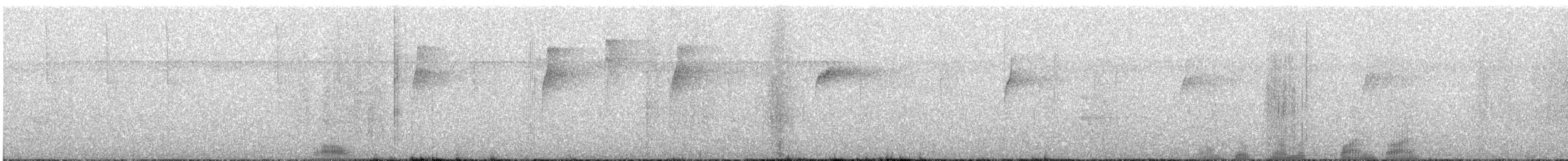 Длиннохвостый колибри-отшельник - ML615827038
