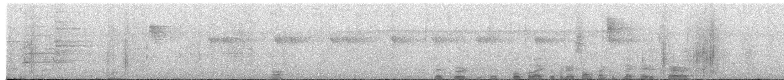 svartkronet hvitbukpapegøye - ML615827108