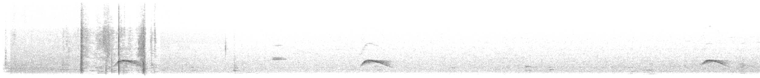 White-crested Elaenia - ML615829362