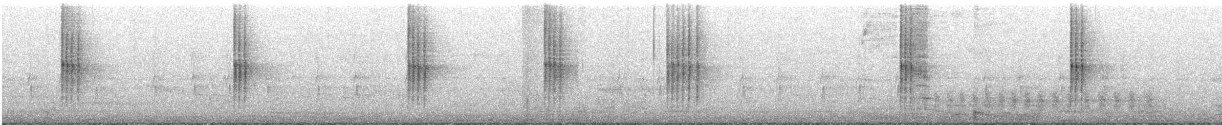 Olivscheitel-Stutzschwanz - ML615829969